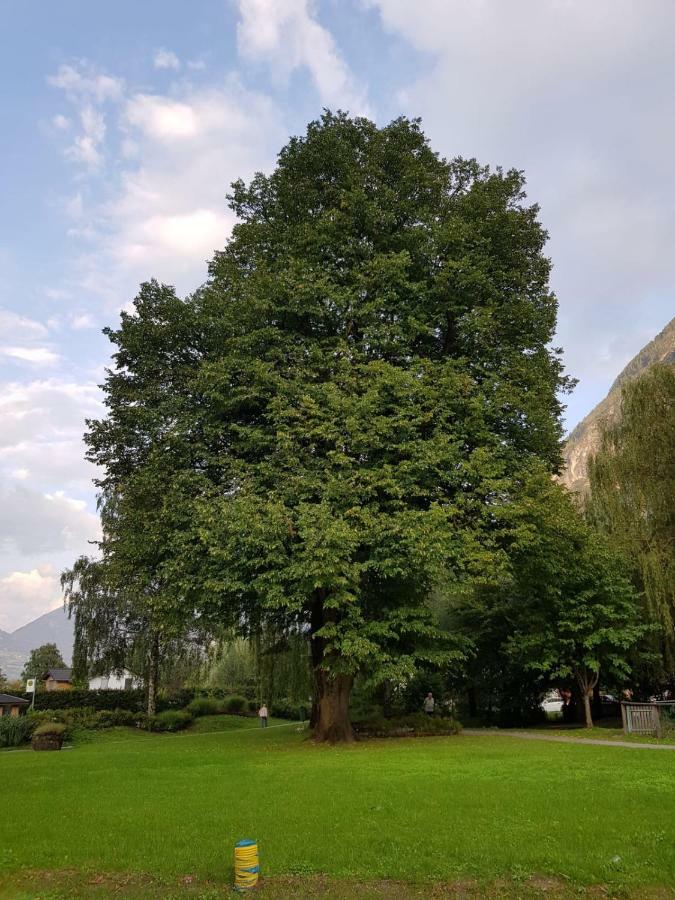 Privatzimmer Bundschuh Amlach  Exterior photo
